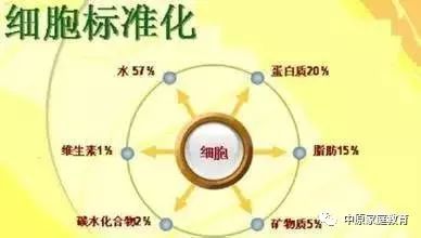 细胞决定人体健康 从疾病根源看人体科学的研究方向