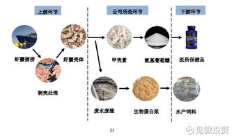见微投资 见微知著——小龙虾的经济学启示