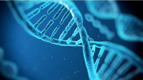 比诺奖技术更胜一筹 剑桥科学家13天让皮肤细胞年轻30岁