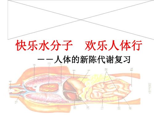 新陈代谢 人体科学的动态之舞