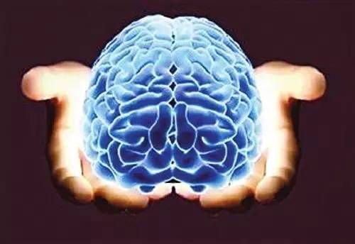 人体指挥中心——大脑 最新版人体科学探究教学设计
