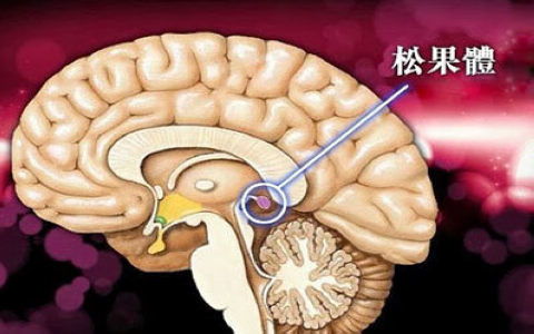 人类退化的 第三只眼 2 松果体被不断钙化,回归自然或能重现