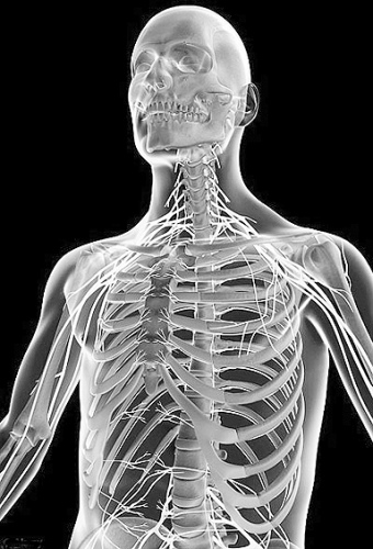 设立生命科学学 与自然科学、社会科学并列的第三大学科门类（二）——论人体科学研究的学科定位与体系构建