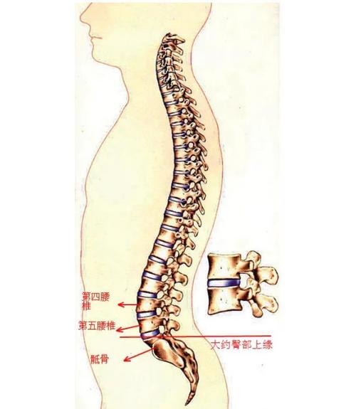 松弛之道 人体科学视角下的NBP舒适性与肌肉舒展研究